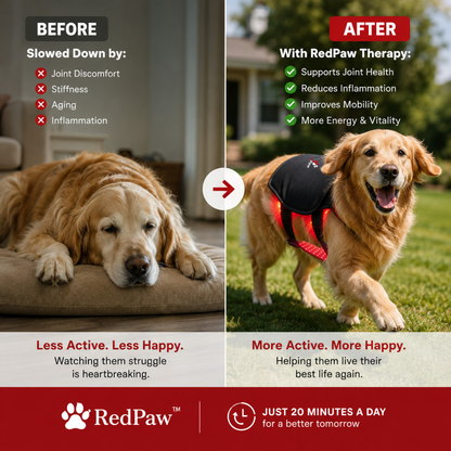 Help Support Your Dog's Comfort & Mobility Naturally